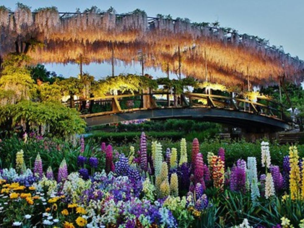 Ashikaga Flower Park
