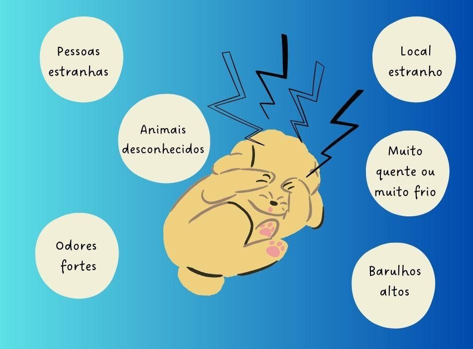 Banho e tosa são estressantes para os gatos?