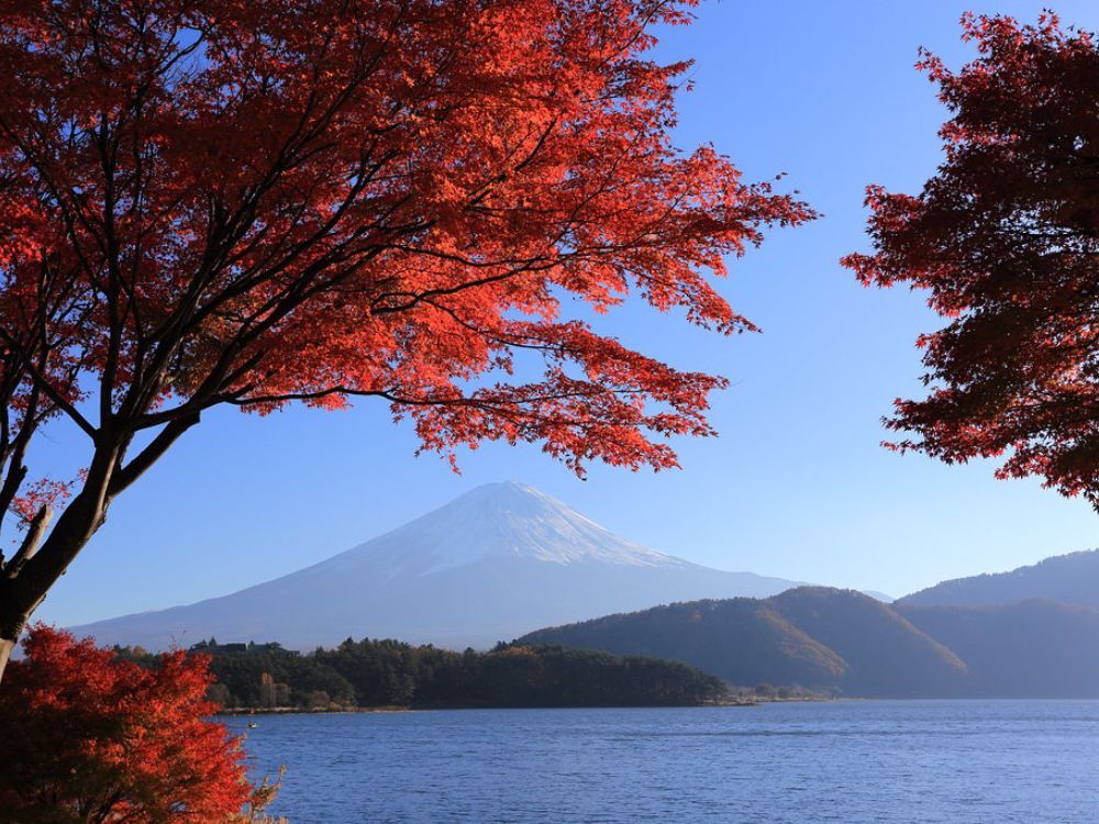 Lago Momijil