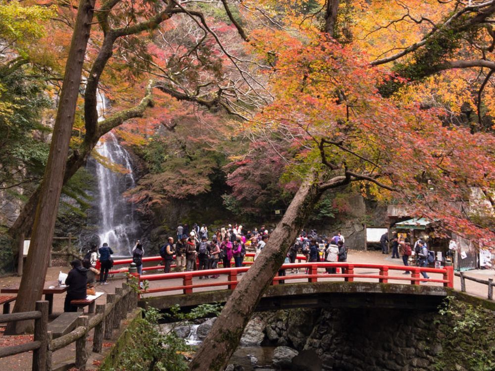 Minou Park, no Japão