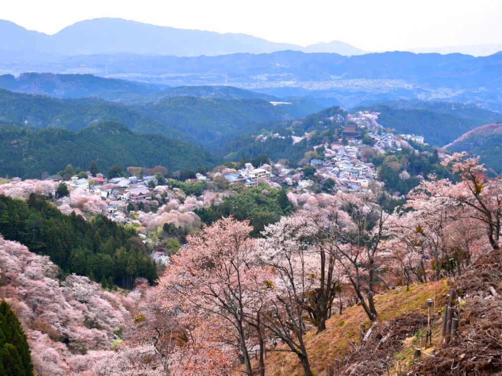 Monte Yoshino, no Japão.