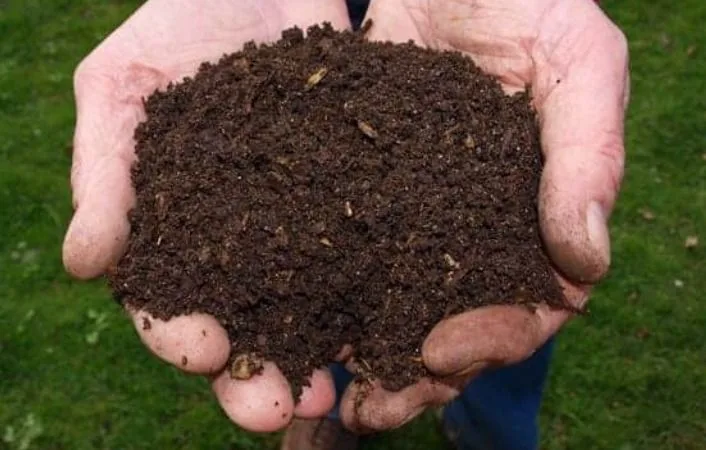 Ferramentas e substrato para jardinagem. A terra!