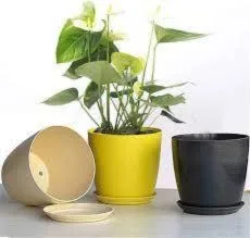 Vasos para plantas.