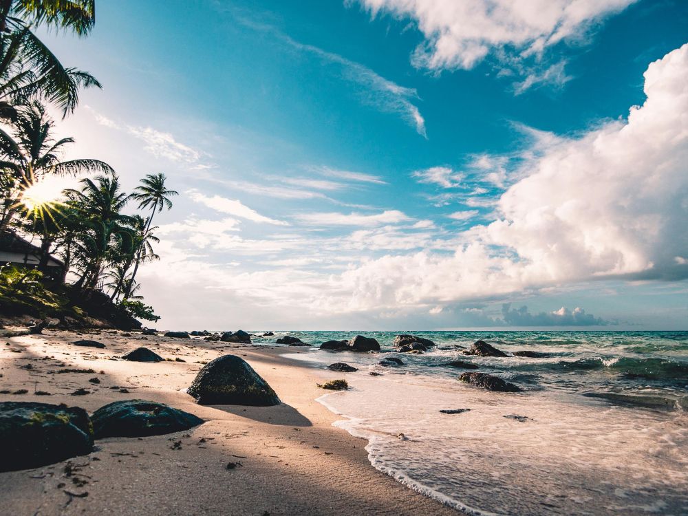 A Polinésia é a região onde se transcorre a aventura de Moana.