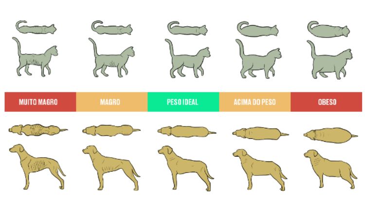 Controle de obesidade em cães e gatos.