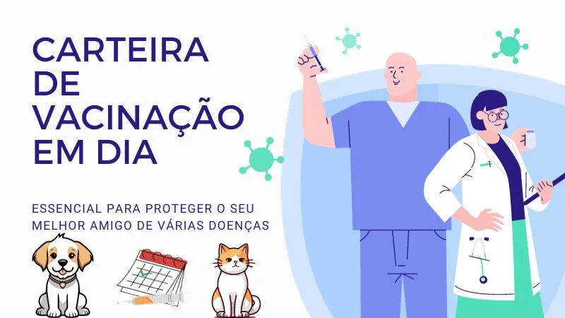 Carteira de vacinação é fundamental para a proteção contra doenças.