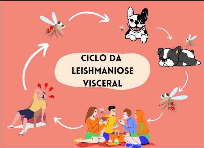 Ciclo da leishmaniose